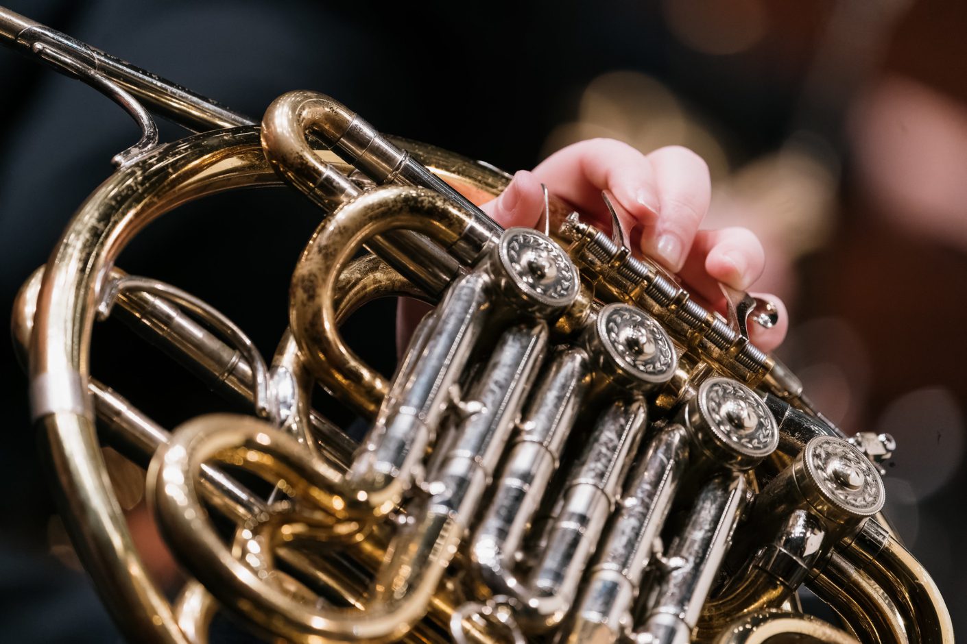 MUSIQUE ROYALE Cookie Concerts present Maritime Brass Quintet