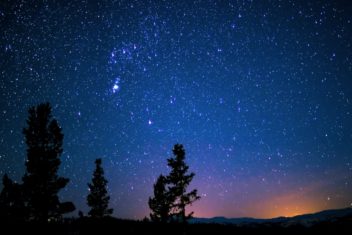 MSM Musical Theatre <br><em>Bright Star</em>